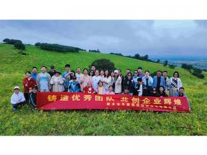 從空調(diào)房到草原天路，公司帶你解鎖夏日新體驗。